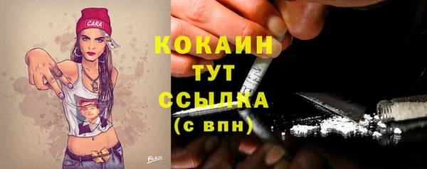 мет Гусиноозёрск