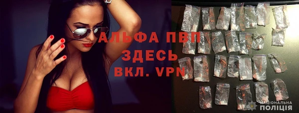 крисы Дмитров
