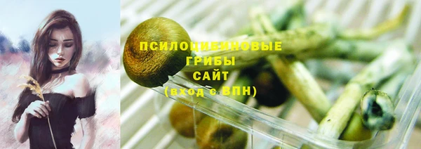мет Гусиноозёрск