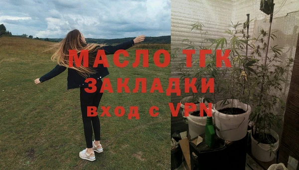 крисы Дмитров