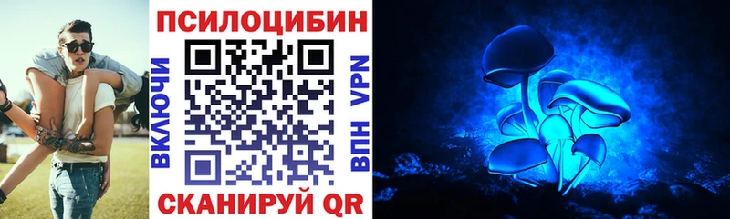 Галлюциногенные грибы Psilocybe Петров Вал